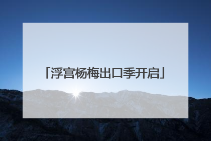 浮宫杨梅出口季开启
