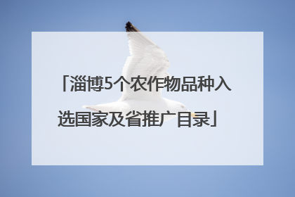 淄博5个农作物品种入选国家及省推广目录
