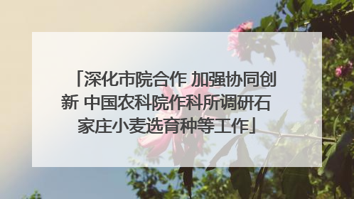 深化市院合作 加强协同创新 中国农科院作科所调研石家庄小麦选育种等工作