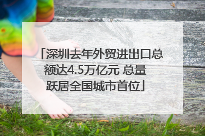 深圳去年外贸进出口总额达4.5万亿元 总量跃居全国城市首位