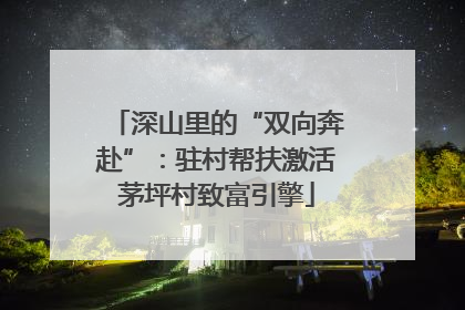 深山里的“双向奔赴”：驻村帮扶激活茅坪村致富引擎