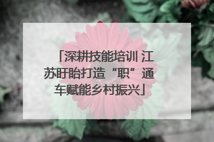 深耕技能培训 江苏盱眙打造“职”通车赋能乡村振兴