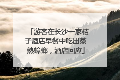 游客在长沙一家桔子酒店早餐中吃出蒸熟蟑螂，酒店回应