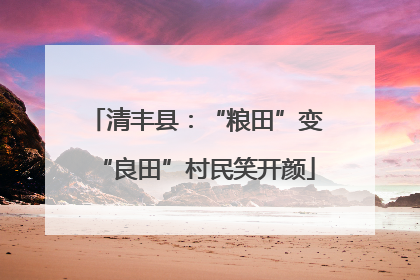 清丰县：“粮田”变“良田”村民笑开颜