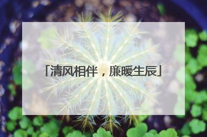 清风相伴，廉暖生辰