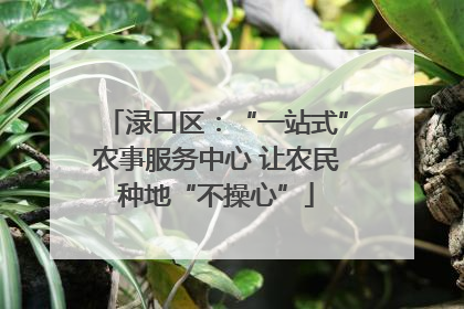渌口区：“一站式”农事服务中心 让农民种地“不操心”