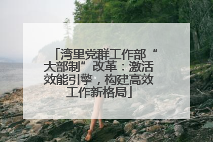 湾里党群工作部“大部制”改革：激活效能引擎，构建高效工作新格局