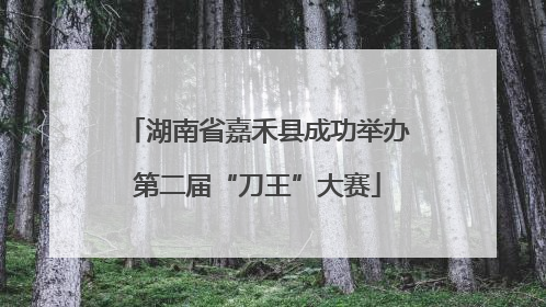 湖南省嘉禾县成功举办第二届“刀王”大赛