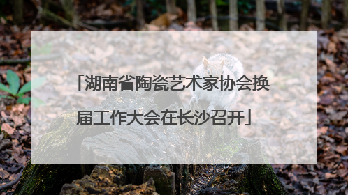 湖南省陶瓷艺术家协会换届工作大会在长沙召开