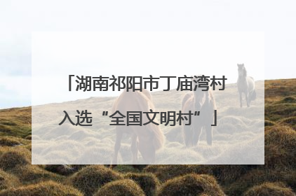 湖南祁阳市丁庙湾村入选“全国文明村”