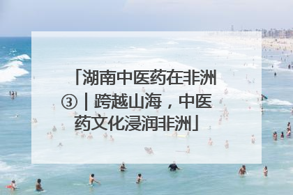 湖南中医药在非洲③｜跨越山海，中医药文化浸润非洲