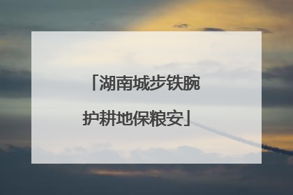 湖南城步铁腕护耕地保粮安