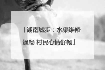 湖南城步：水渠维修通畅 村民心情舒畅