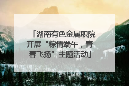 湖南有色金属职院开展“粽情端午，青春飞扬”主题活动
