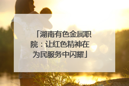 湖南有色金属职院：让红色精神在为民服务中闪耀