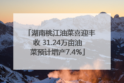 湖南桃江油菜喜迎丰收 31.24万亩油菜预计增产7.4%