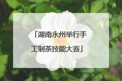 湖南永州举行手工制茶技能大赛