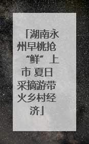 湖南永州早桃抢“鲜”上市 夏日采摘游带火乡村经济