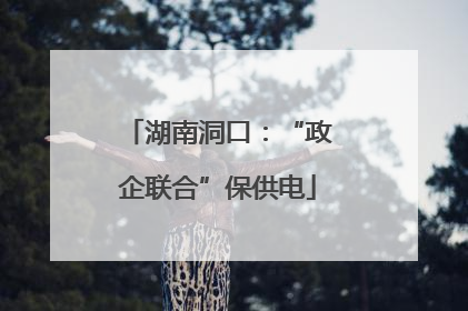 湖南洞口：“政企联合”保供电