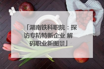 湖南铁科职院：探访专精特新企业 解码职业新图景