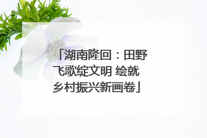 湖南隆回：田野飞歌绽文明 绘就乡村振兴新画卷