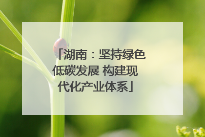 湖南：坚持绿色低碳发展 构建现代化产业体系
