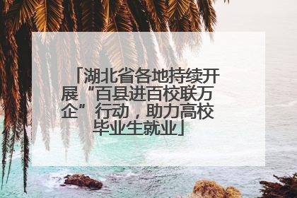 湖北省各地持续开展“百县进百校联万企”行动，助力高校毕业生就业