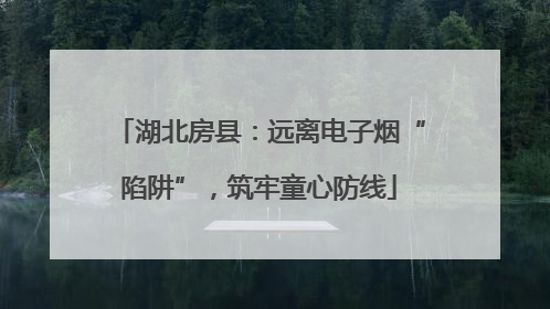 湖北房县：远离电子烟“陷阱”，筑牢童心防线