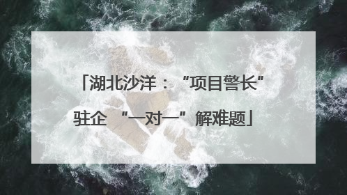 湖北沙洋：“项目警长”驻企 “一对一”解难题