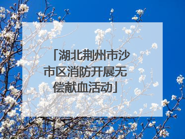 湖北荆州市沙市区消防开展无偿献血活动