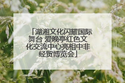 湖湘文化闪耀国际舞台 爱晚亭红色文化交流中心亮相中非经贸博览会