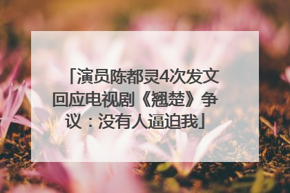 演员陈都灵4次发文回应电视剧《翘楚》争议：没有人逼迫我