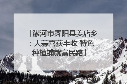 漯河市舞阳县姜店乡：大蒜喜获丰收 特色种植铺就富民路