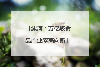 漯河：万亿级食品产业攀高向新