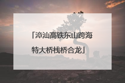 漳汕高铁东山跨海特大桥栈桥合龙