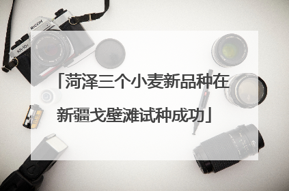 菏泽三个小麦新品种在新疆戈壁滩试种成功
