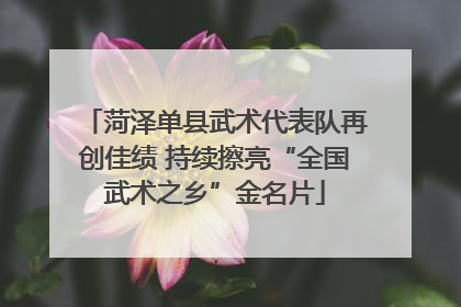 菏泽单县武术代表队再创佳绩 持续擦亮“全国武术之乡”金名片