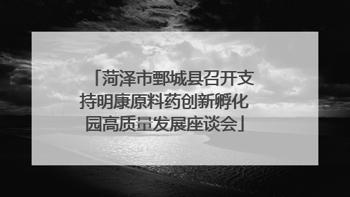 菏泽市鄄城县召开支持明康原料药创新孵化园高质量发展座谈会