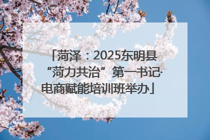 菏泽：2025东明县“菏力共治”第一书记·电商赋能培训班举办