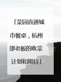 菜园直通城市餐桌，杭州邵老板的收菜计划和期待