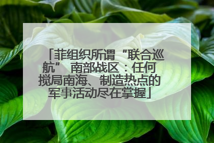 菲组织所谓“联合巡航” 南部战区：任何搅局南海、制造热点的军事活动尽在掌握