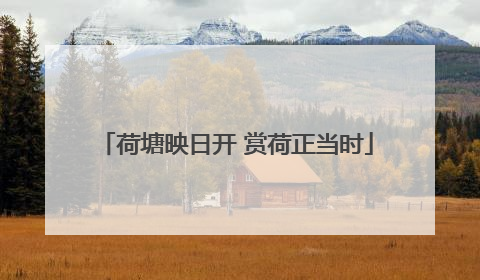 荷塘映日开 赏荷正当时