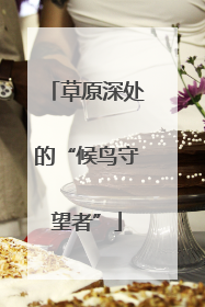 草原深处的“候鸟守望者”