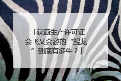 获颁生产许可证 会飞又会游的“鲲龙”到底有多牛？