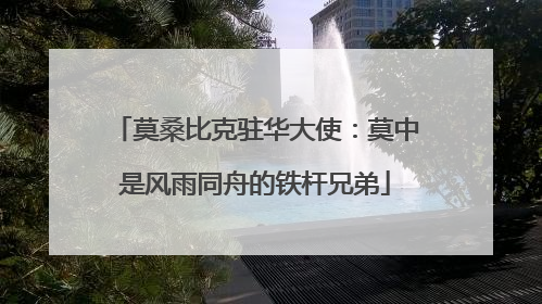 莫桑比克驻华大使：莫中是风雨同舟的铁杆兄弟