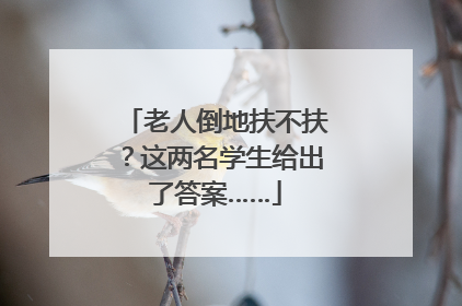 老人倒地扶不扶？这两名学生给出了答案……
