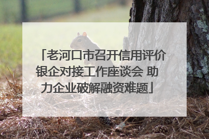 老河口市召开信用评价银企对接工作座谈会 助力企业破解融资难题