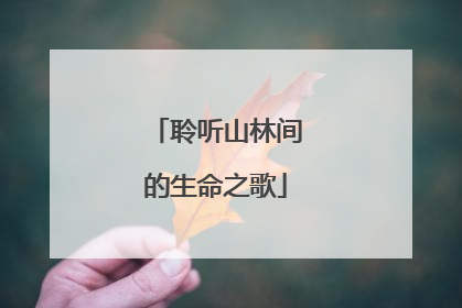 聆听山林间的生命之歌