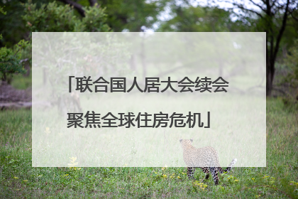 联合国人居大会续会聚焦全球住房危机