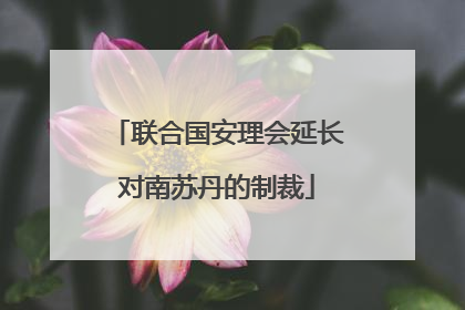 联合国安理会延长对南苏丹的制裁